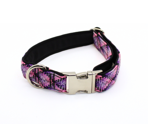 Halsband mit Metallschnalle, 3 cm